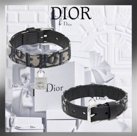 dior dog accessories dice|Dior earrings for men.